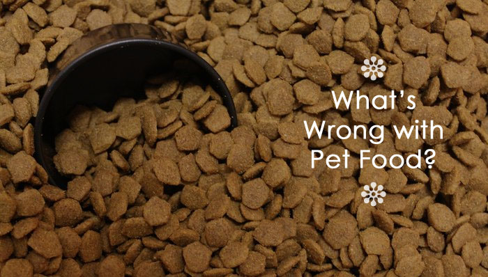 whats wrong with pet food