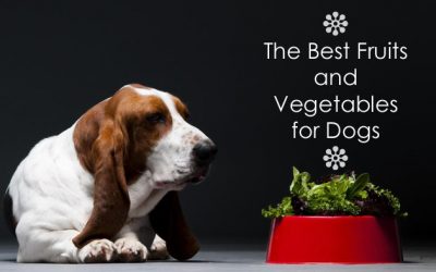 The Best Fruits and Vegetables for Dogs