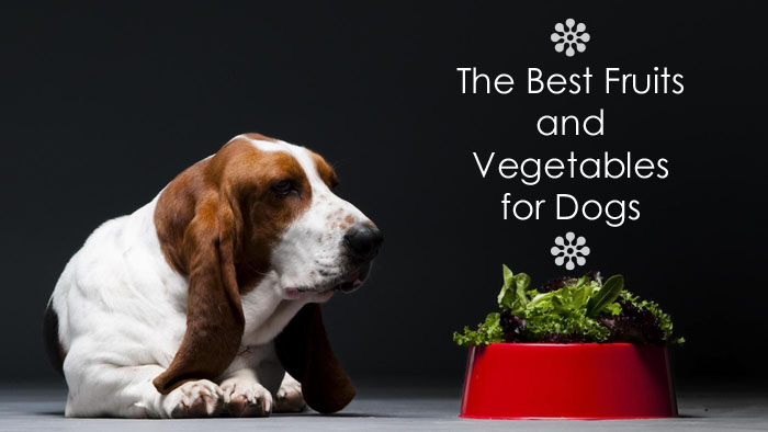 fruits-and-veggies-for-dogs-foods-dogs-can-eat-dog-food-recipes-dog