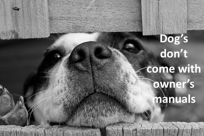 Dogs don’t come with owners manuals!